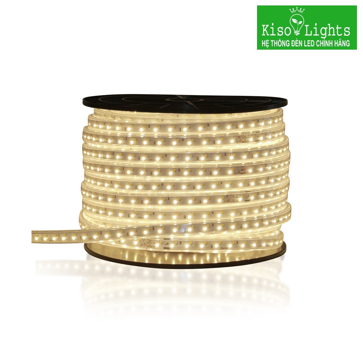 Đèn led dây 2 hàng led rạng đông LD01 1000/9W