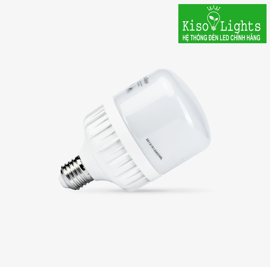 Đèn led trụ nhôm nhựa 20W rạng đông LED TR80N1/20W.H