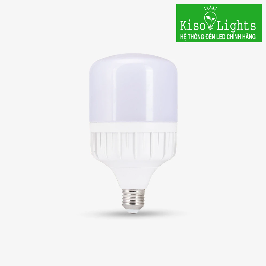 Bóng đèn búp trụ 12W rạng đông dùng ắc quy LED TR70N1 12-24VDC/12W xoáy