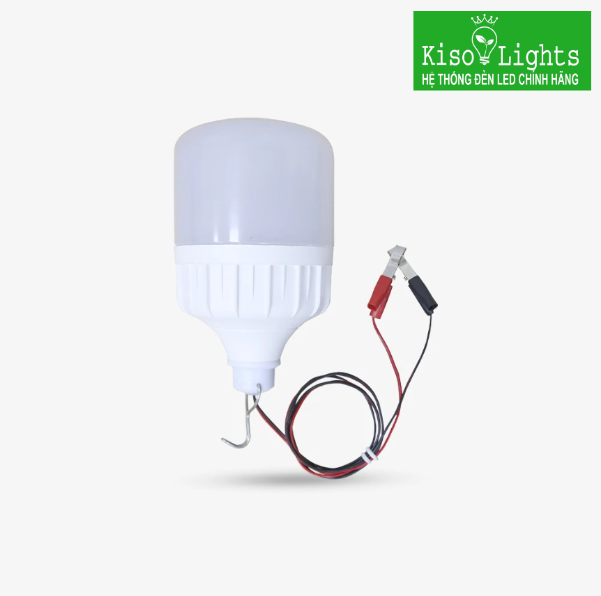 Bóng đèn búp trụ 12W rạng đông dùng ắc quy LED TR70N1 12-24VDC/12W kẹp