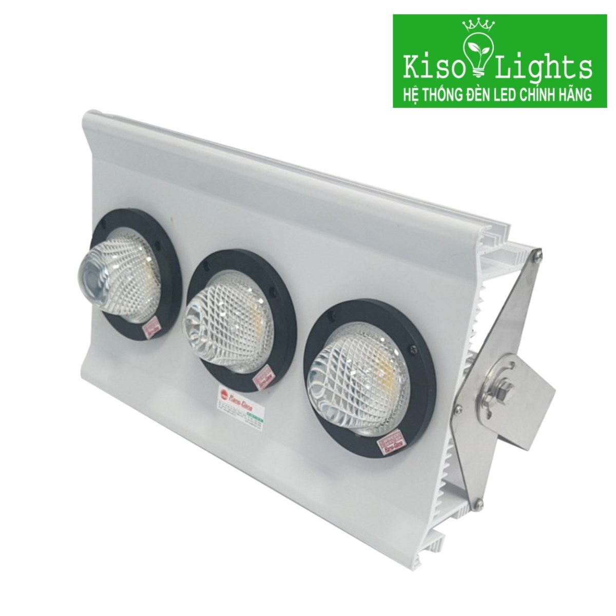 Đèn pha led đánh cá 300W Rạng Đông D DC PX 04L/300W
