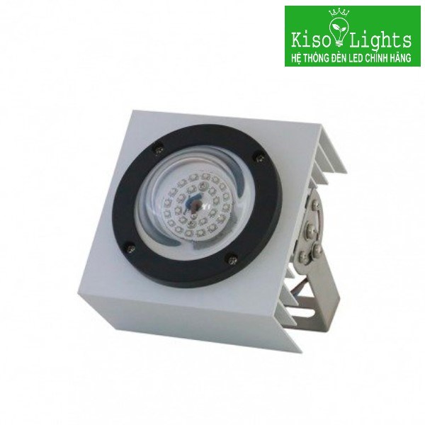 Đèn led câu mực 100W Rạng Đông D CM01L/100W