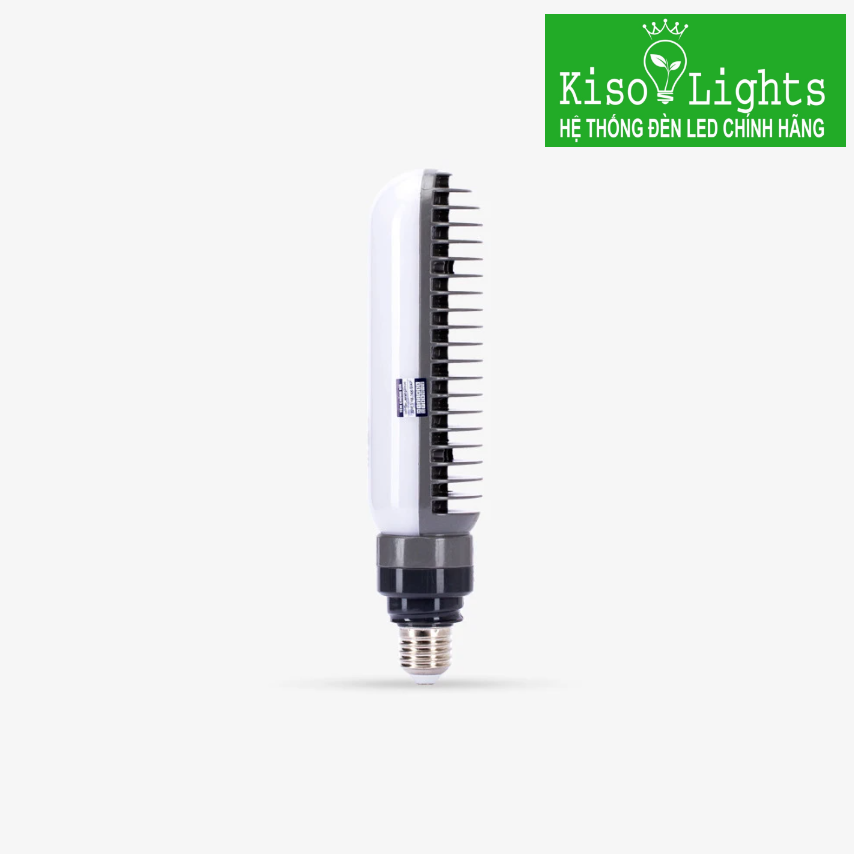 Đèn đường 30W rạng đông D CSD05L 30W