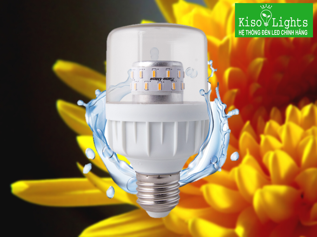 Bóng đèn LED chuyên dụng cho hoa cúc miền bắc rạng đông TR60.HC/9W