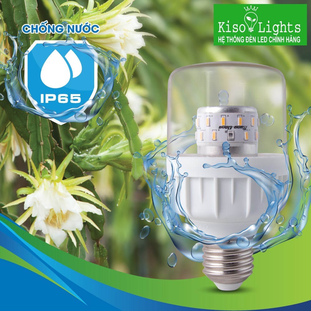 Đèn LED thanh long 9W Rạng đông LED.TL-T60 WRF/9W