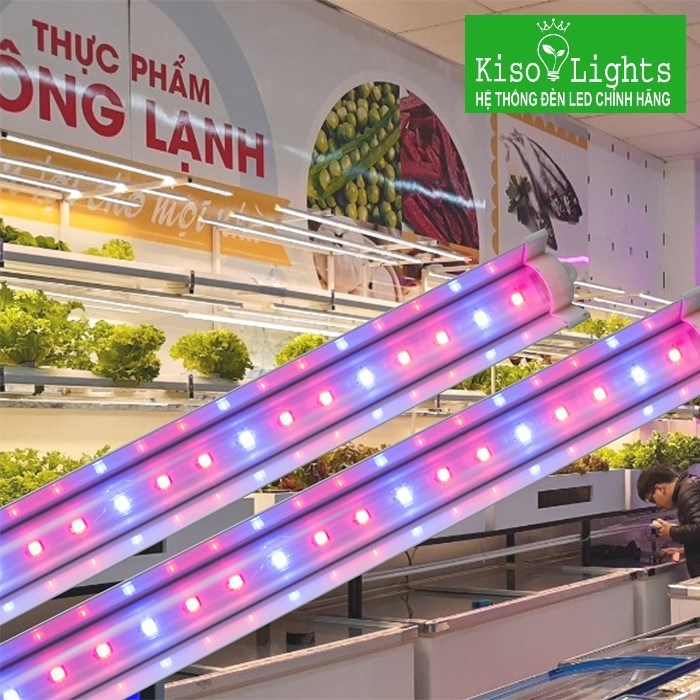 Đèn LED chuyên dụng trồng rau Rạng đông LED TRR 01L 120/25W BR (30B/70R)