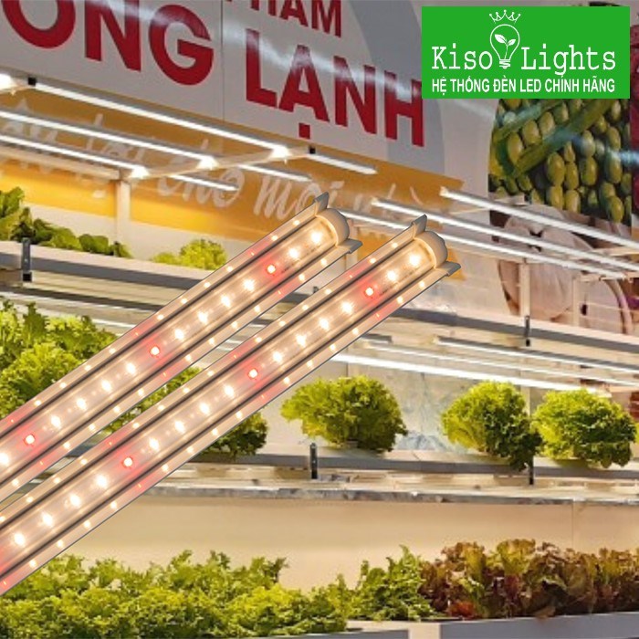 Đèn LED chuyên dụng trồng rau Rạng đông LED TRR 25W 120/WR