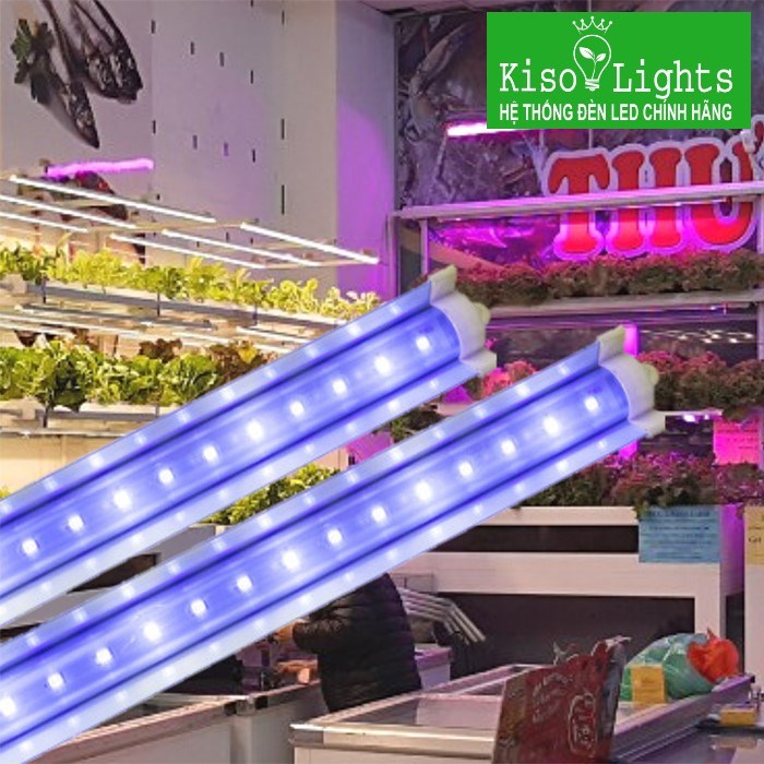 Đèn LED chuyên dụng trồng rau Rạng đông LED TRR 120/25W-100% BLUE