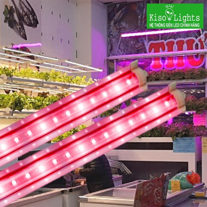 Đèn LED chuyên dụng trồng rau Rạng đông LED TRR 120/25W-100% RED