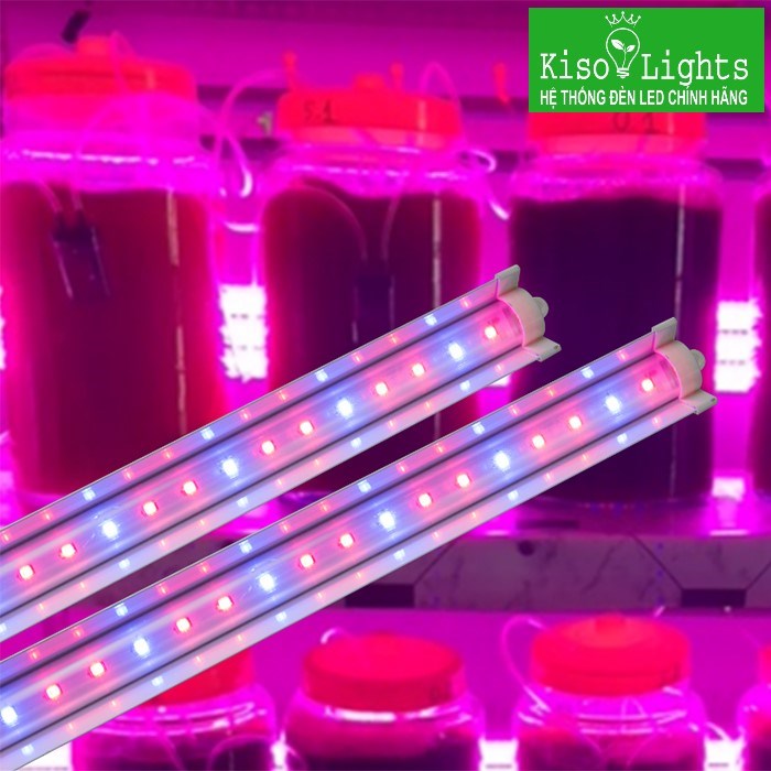 Đèn LED chuyên dụng trồng Tảo Rạng đông LED T25W 120/BR