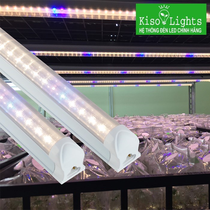 Đèn trồng cây dược liệu Rạng đông LED NCM 120/16W WBU