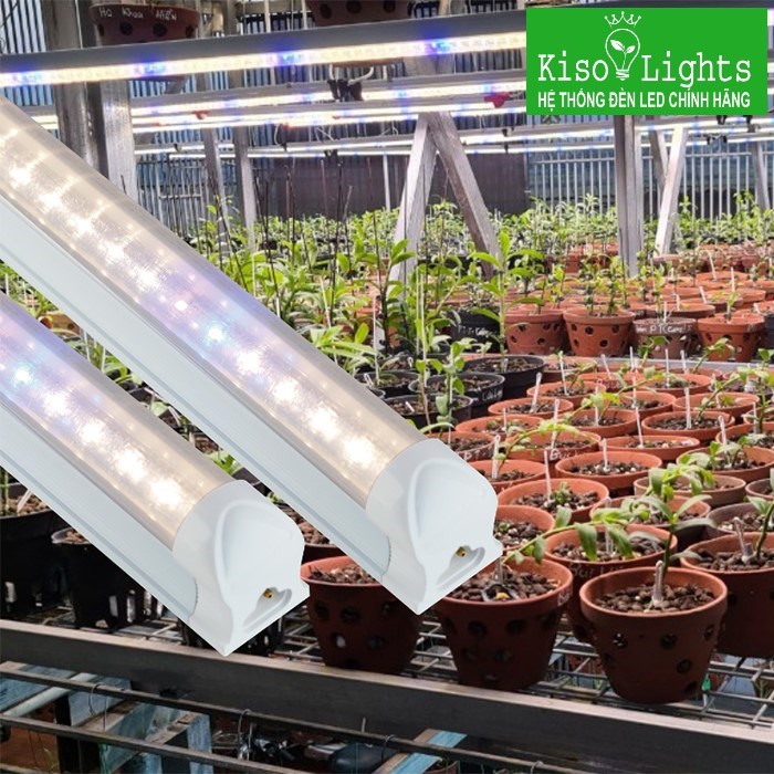 Đèn trồng rau, hoa lan Rạng đông LED NCM 120/25W WBU