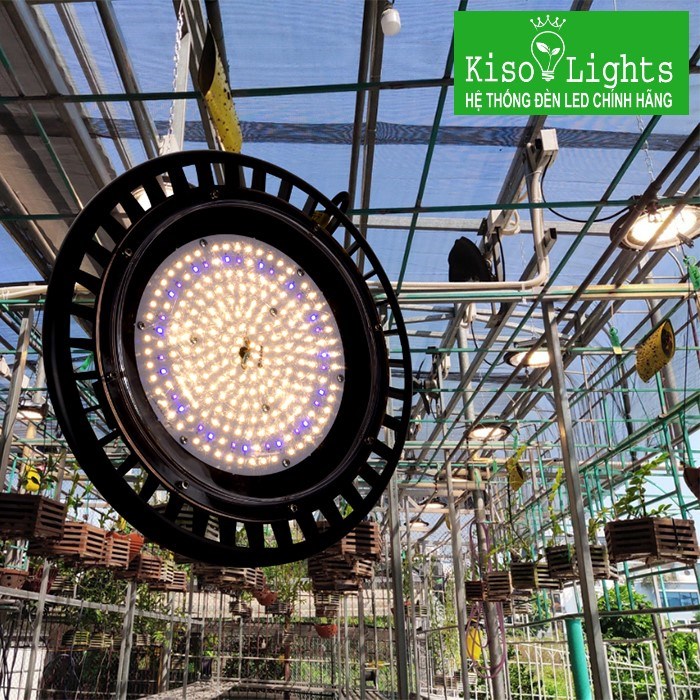 Đèn dưa lưới, cà chua, dâu tây, hoa lan Rạng đông LED UFO330 150W/WBU