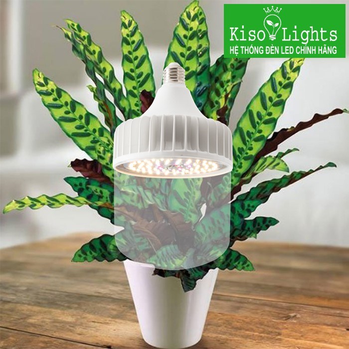 Đèn LED trồng cây Rạng đông CX-T135/50W WR