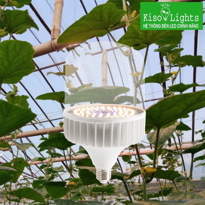 Đèn LED trồng cây Rạng đông TC-T135/50W WBU